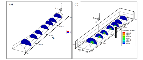 Two Phase Flow in a Converging-Diverging Duct: Result 1